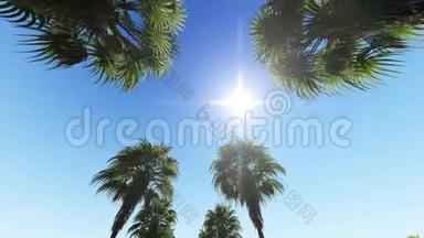 在蓝天上移动椰子棕榈